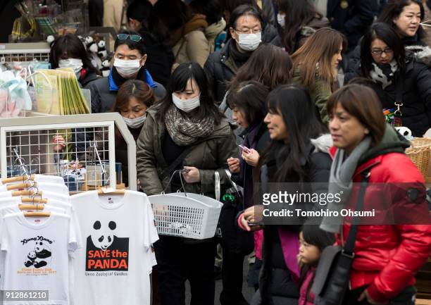 Visitors shop for souvenirs after watching giant panda cub Xiang Xiang at Ueno Zoological Gardenson February 1, 2018 in Tokyo, Japan. The...