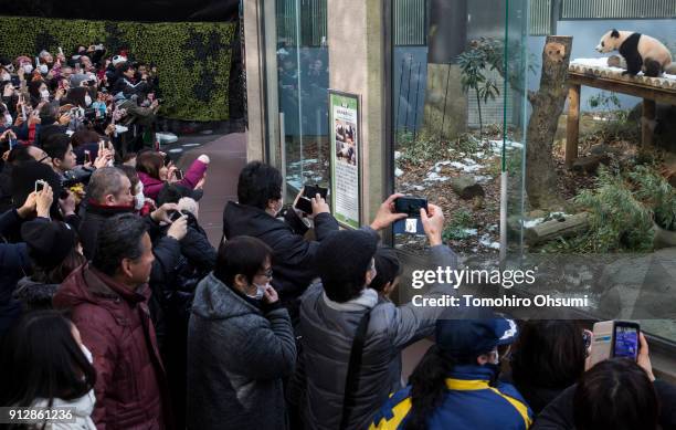 Visitors take photographs of giant panda cub Xiang Xiang at Ueno Zoological Gardenson February 1, 2018 in Tokyo, Japan. The seven-month-old panda cub...