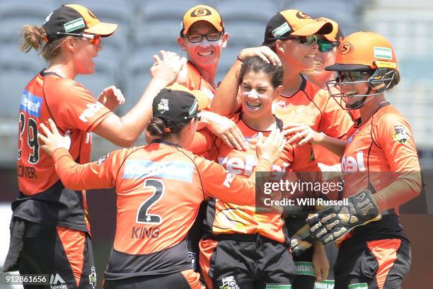 Nicole Bolton of the Scorchers celebrates the wicket of Rachael Haynes of the Thunder during the Women's Big Bash League match between the Sydney...