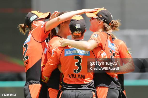 Natalie Sciver of the Scorchers celebrates after taking a catch to dismiss Rachel Priest of the Thunder during the Women's Big Bash League match...