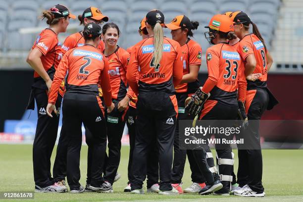 Nicole Bolton of the Scorchers celebrates the wicket of Rachael Haynes of the Thunder during the Women's Big Bash League match between the Sydney...