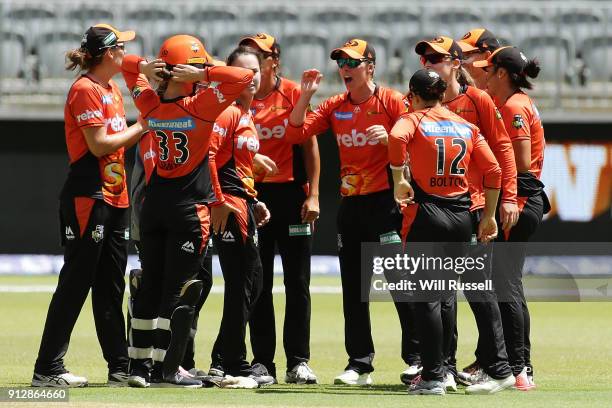 Elyse Villani of the Scorchers celebrates after taking a catch off Alex Blackwell of the Thunder during the Women's Big Bash League match between the...