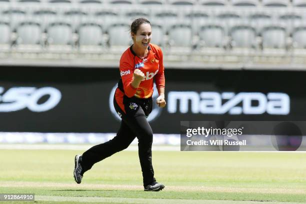 Emma King of the Scorchers celebrates the wicket of Naomi Stalenberg of the Thunder during the Women's Big Bash League match between the Sydney...