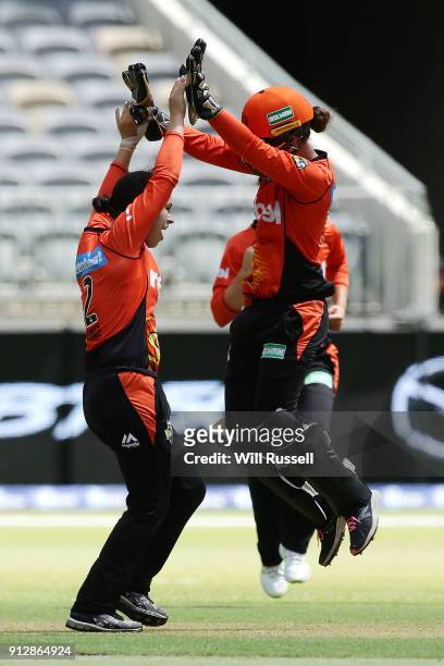 Emma King of the Scorchers celebrates the wicket of Naomi Stalenberg of the Thunder during the Women's Big Bash League match between the Sydney...