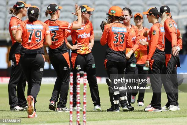 Emma King of the Scorchers celebrates the wicket of Nicola Carey of the Thunder during the Women's Big Bash League match between the Sydney Thunder...