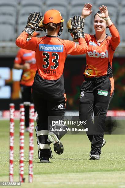 Emma King of the Scorchers celebrates the wicket of Nicola Carey of the Thunder during the Women's Big Bash League match between the Sydney Thunder...