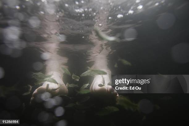 Doctor fish' nibble away at dead skin off of a mans feet during treatment on September 13, 2009 in Kangal, 105 kilometers south of the central...