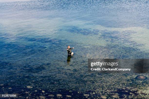portrait of a fly fisherman looking for sea trout - sea trout stock pictures, royalty-free photos & images