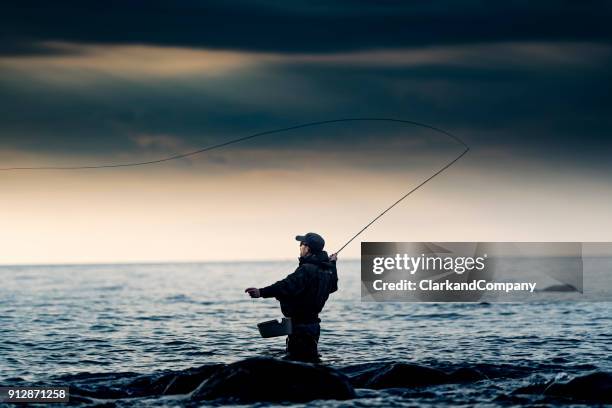 portrait of a fly fisherman looking for sea trout - sea trout stock pictures, royalty-free photos & images