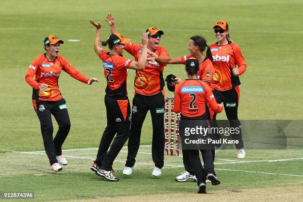 Elyse Villani of the Scorchers celebrates with team mates after winning the Women's Big Bash League semi final match between the Sydney Thunder and...
