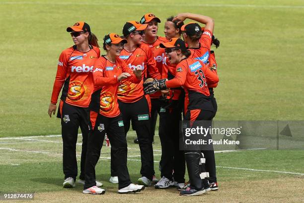 Emily Smith of the Scorchers celebrates with team mates after winning the Women's Big Bash League semi final match between the Sydney Thunder and the...