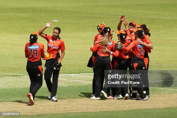 The Scorchers celebrate winning the Women's Big Bash League semi final match between the Sydney Thunder and the Perth Scorchers at Optus Stadium on...