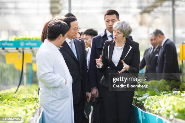 Theresa May, U.K. Prime minister, centre right, talks with employees as she walks through a greenhouse full of lettuce at the Agrigarden research and...