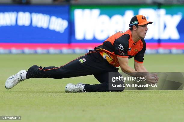 Mitch Marsh of the Scorchers takes a catch to dismiss Tim Paine of the Hurricanes off the bowling of Matthew Kelly of the Scorchers during the Big...
