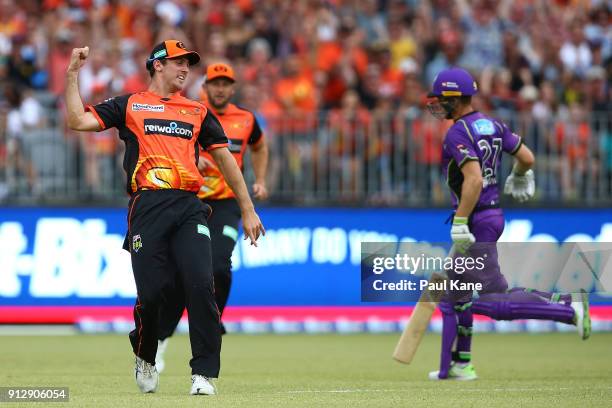 Mitch Marsh of the Scorchers celebrates taking a catch to dismiss Tim Paine of the Hurricanes during the Big Bash League Semi Final match between the...