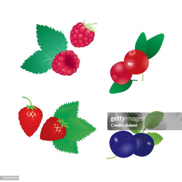 berries - cranberry isolated stock illustrations
