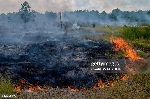 Smoke rises up from a peat-land fire in Pekanbaru, Riau province, on February 1 one of 73 detected hotspots causing haze on the island of Sumatra....