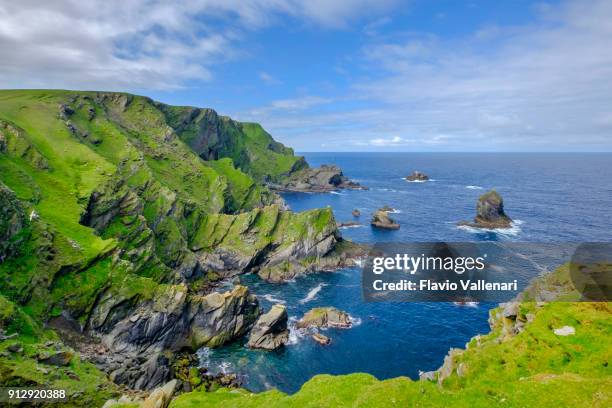 reserva de naturaleza nacional de hermaness, un dramático entorno de acantilado y un refugio de miles de aves marinas; es el punto más septentrional de gran bretaña, situado en la isla de unst, islas shetland, escocia. - islas de gran bretaña fotografías e imágenes de stock