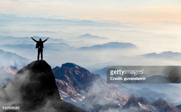 success - motivation stock pictures, royalty-free photos & images