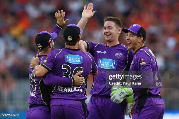 Tom Rogers of the Hurricanes celebrates the wicket of Michael Klinger of the Scorchers during the Big Bash League Semi Final match between the Perth...