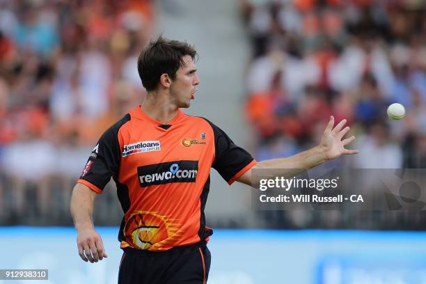 Mitch Marsh of the Scorchers prepares to bowl during the Big Bash League Semi Final match between the Perth Scorchers and the Hobart Hurricanes at...