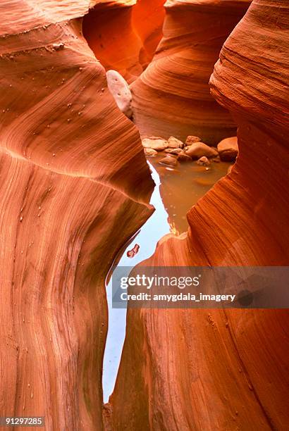 abstrato estreitas slot canyon corredor e água - waterhole - fotografias e filmes do acervo