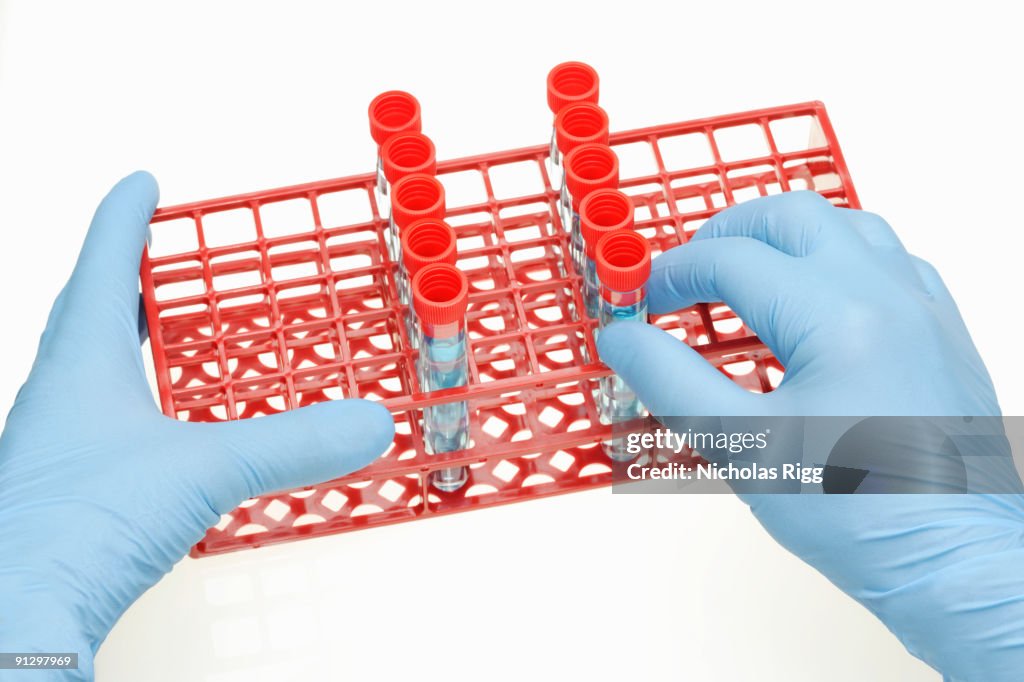 Gloved hand holding test tube in rack