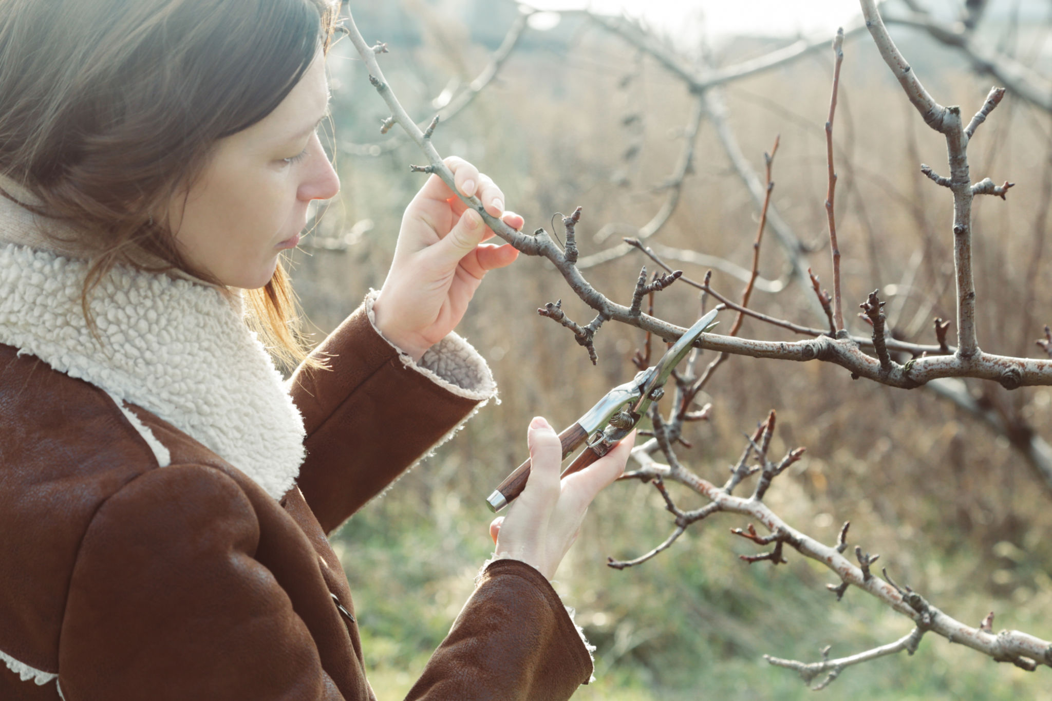 winter gardening