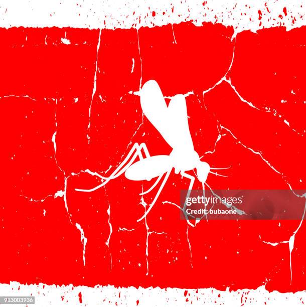 mosquito. - mosquito stock illustrations