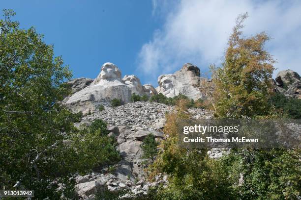 mount rushmore - custer state park stock pictures, royalty-free photos & images