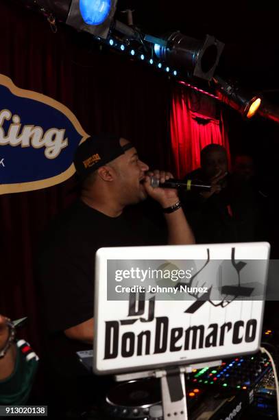 Don Demarco spins at B.B. King Blues Club & Grill on January 31, 2018 in New York City.