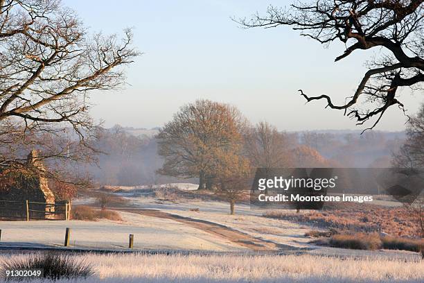 scenic image of southeast england under frost - kent   england bildbanksfoton och bilder