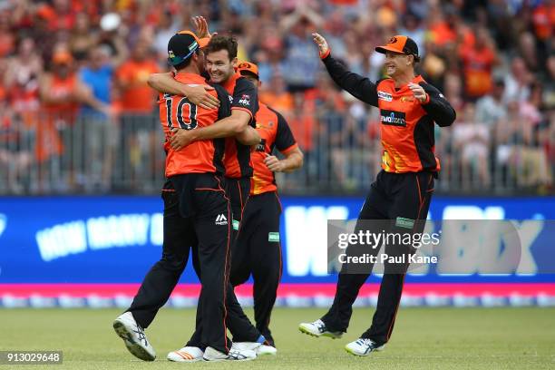 Mitch Marsh and Matthew Kelly of the Scorchers celebrate the dismissal of Tim Paine of the Hurricanes during the Big Bash League Semi Final match...