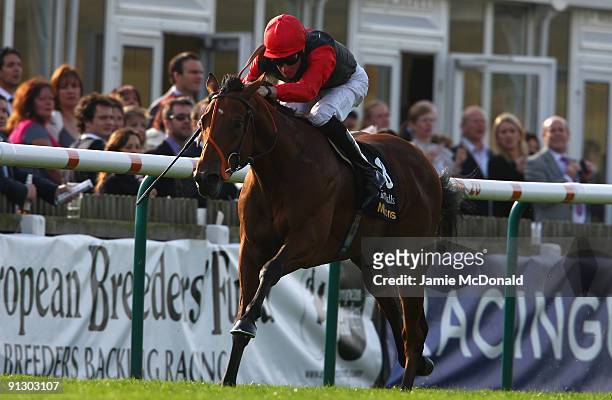 Richard Hughes rides Sir Parky to win the Somerville Tattersall Stakes at Newmarket Racecourse on October 1, 2009 in Newmarket, England.