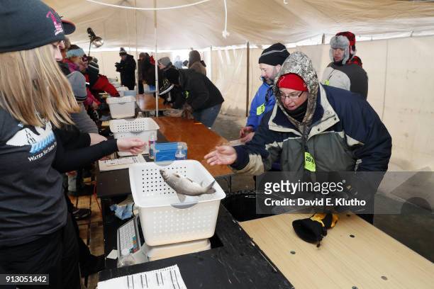Brainerd Jaycees Ice Fishing Extravaganza: View of contestant submitting a tullibee fish for weigh-in during event on Brainerd Lakes. Contestants...