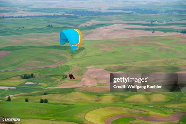 Man paragliding from Steptoe Butte down to the rolling fields of the Palouse in Eastern Washington, USA.