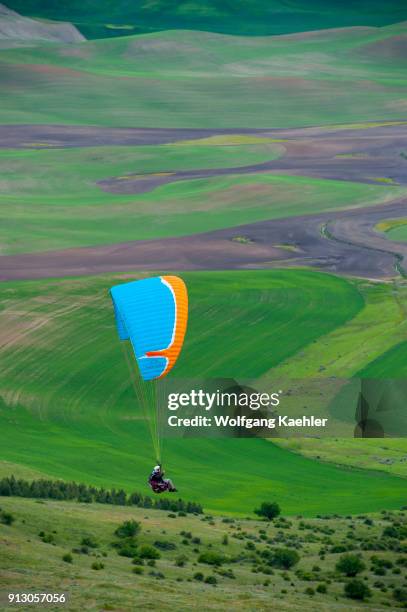 Man paragliding from Steptoe Butte down to the rolling fields of the Palouse in Eastern Washington, USA.
