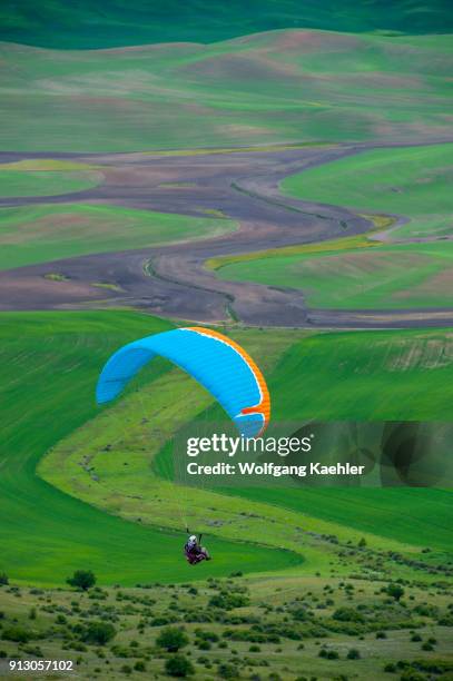 Man paragliding from Steptoe Butte down to the rolling fields of the Palouse in Eastern Washington, USA.