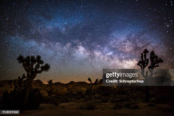 milky way in the desert - nationalpark joshua tree stock pictures, royalty-free photos & images