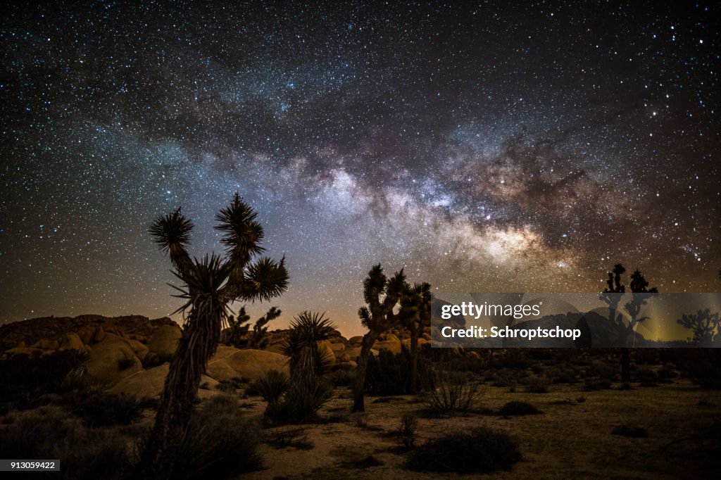 Milky way and stars over Joshua Tree desert