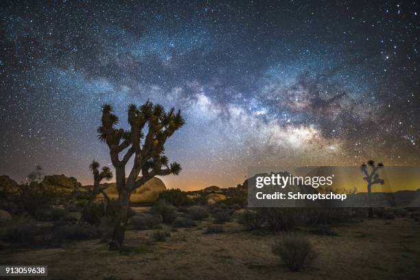 voie lactée sur joshua trees - arbre de josué photos et images de collection