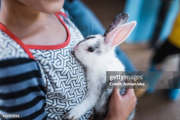 child cuddling a bunny - pet rabbit stock pictures, royalty-free photos & images