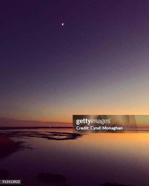 moon and sunset over calm water - küstenschutzgebiet assateague island stock-fotos und bilder