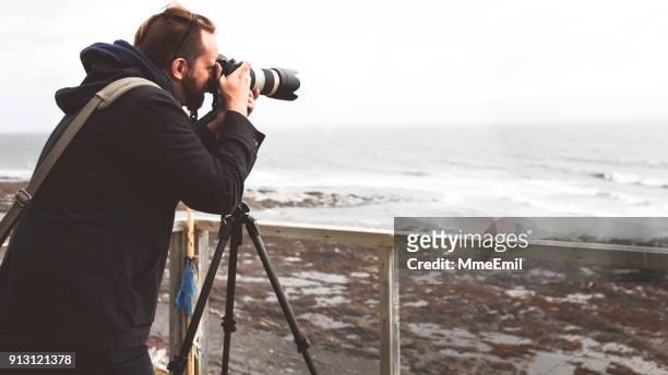 young man holding a camera on a tripod and taking a picture of the sea. gaspesie, quebec, canada - gaspe peninsula stock pictures, royalty-free photos & images