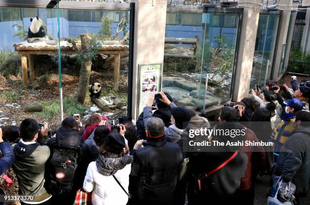 Visitors wait in line to watch giant panda cub Xiang Xiang and her mother Shin Shin at Ueno Zoological Gardens on February 1, 2018 in Tokyo, Japan....