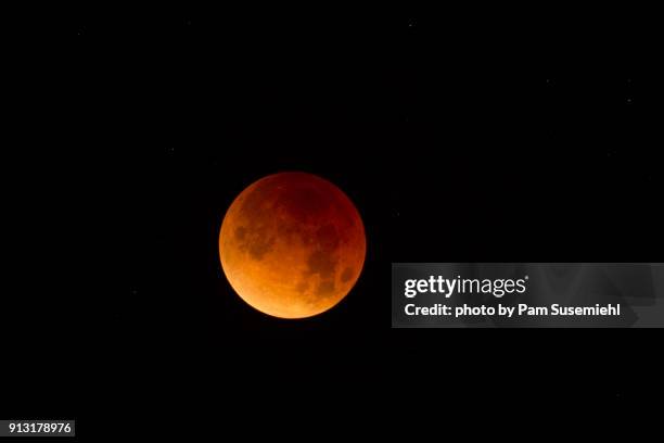 super blue blood moon eclipse - totality , los angeles, 2018 - super blue blood moon 個照片及圖片檔