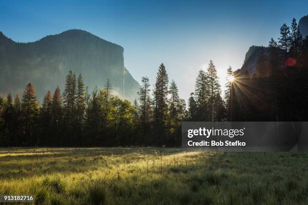 sun breaking through trees with mountains in background - 空き地 ストックフォトと画像