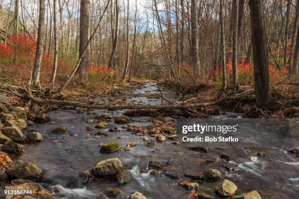rocky stream flowing through late autumn forest - delaware water gap national recreation area stock pictures, royalty-free photos & images