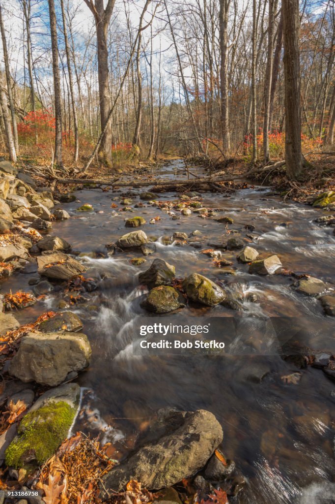 Rocky stream flowing through late autumn forest