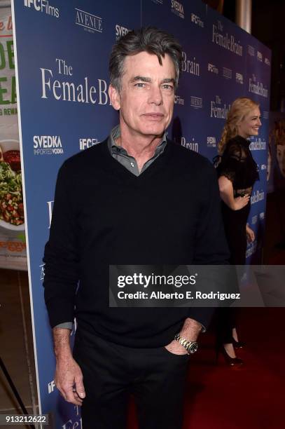 Peter Gallagher attends the premiere of IFC Films' 'The Female Brain' at ArcLight Hollywood on February 1, 2018 in Hollywood, California.